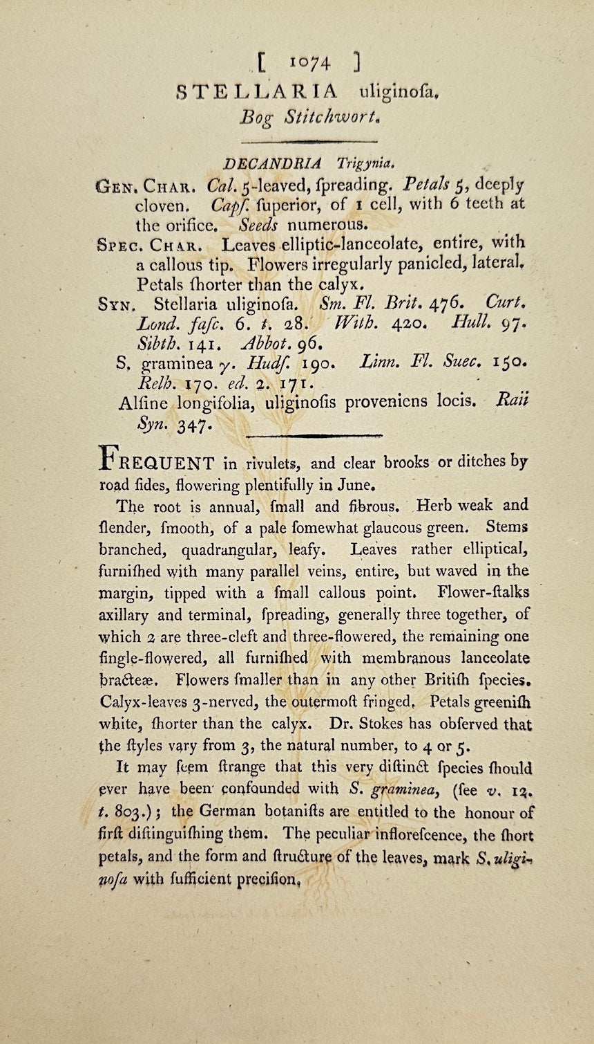 Antique Print - James Sowerby - Stellaria Uliginofa - Bog Stitchwort - F1