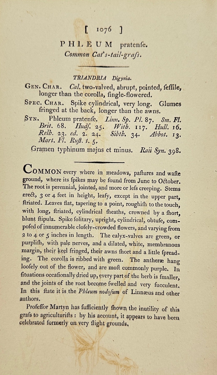 Antique Print - James Sowerby - Phleum Pratenſe - Common Cat's-tail-grafs - F1