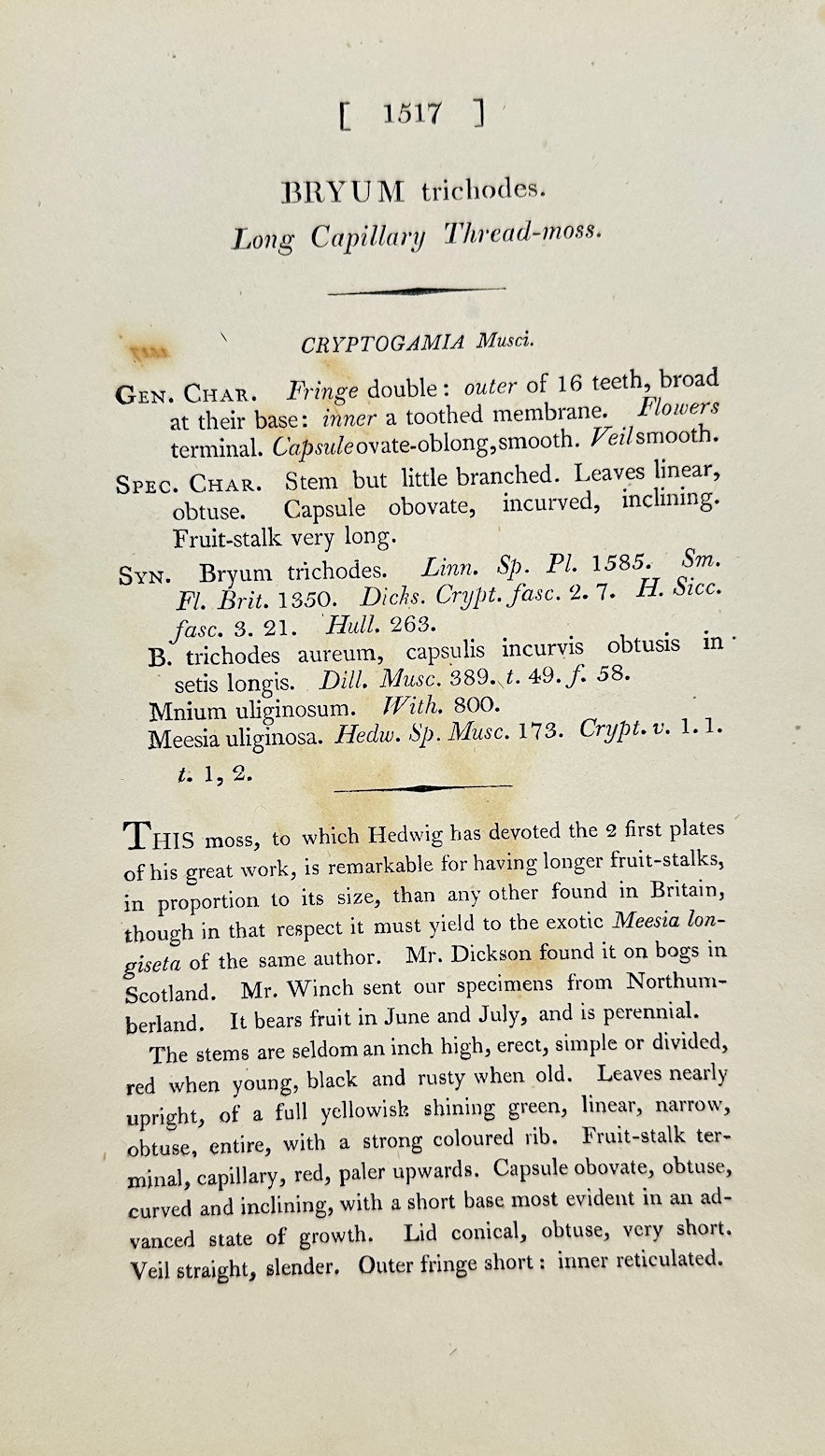 Antique Print - Sowerby - Bryum Trichodes - Long Capillary Thread-moss - F1