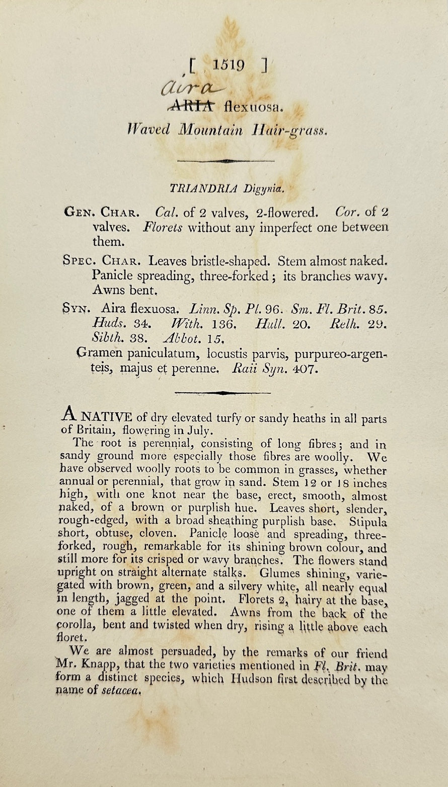 Antique Print - James Sowerby - Aira Flexuosa - Waved Mountain Hair-grass - F1