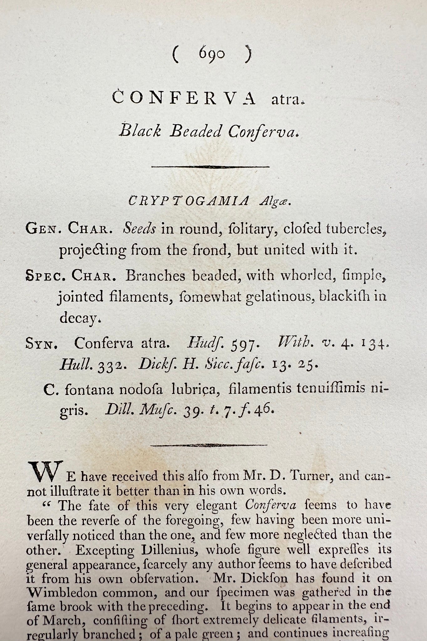 Antique Print - James Sowerby - Conferva Atra - Black Beaded Conferva - F1