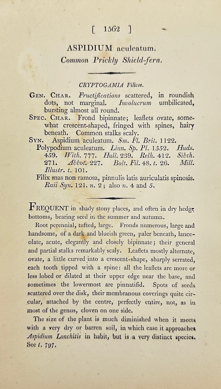 Antique Print - Sowerby - Aspidium Aculeatum - Common Prickly Shield-fern - F1