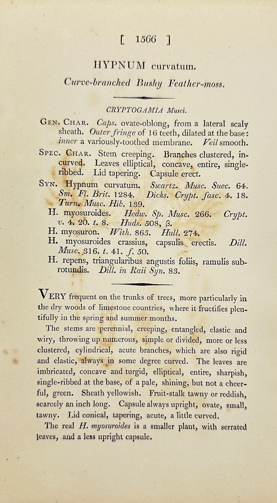 Antique Print - James Sowerby - Hypnum Curvatum - Curved Feather Moss - F1
