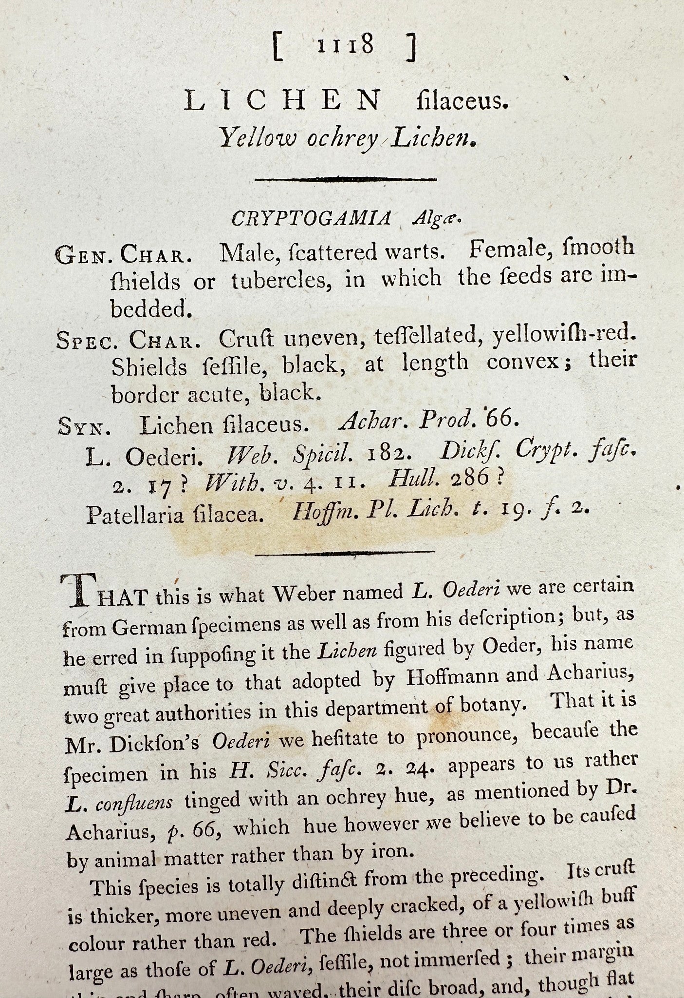 Antique Print - James Sowerby - Lichen Filaceus - Filamentous Lichen - F1