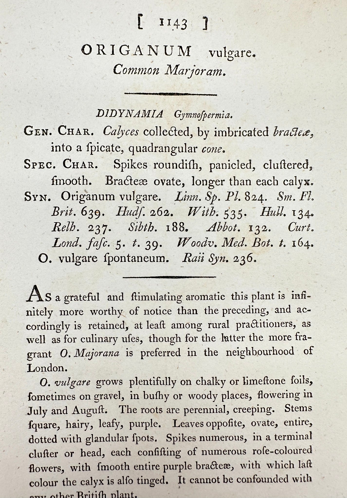 Antique Print - James Sowerby - Origanum Vulgare - Common Marjoram - F1