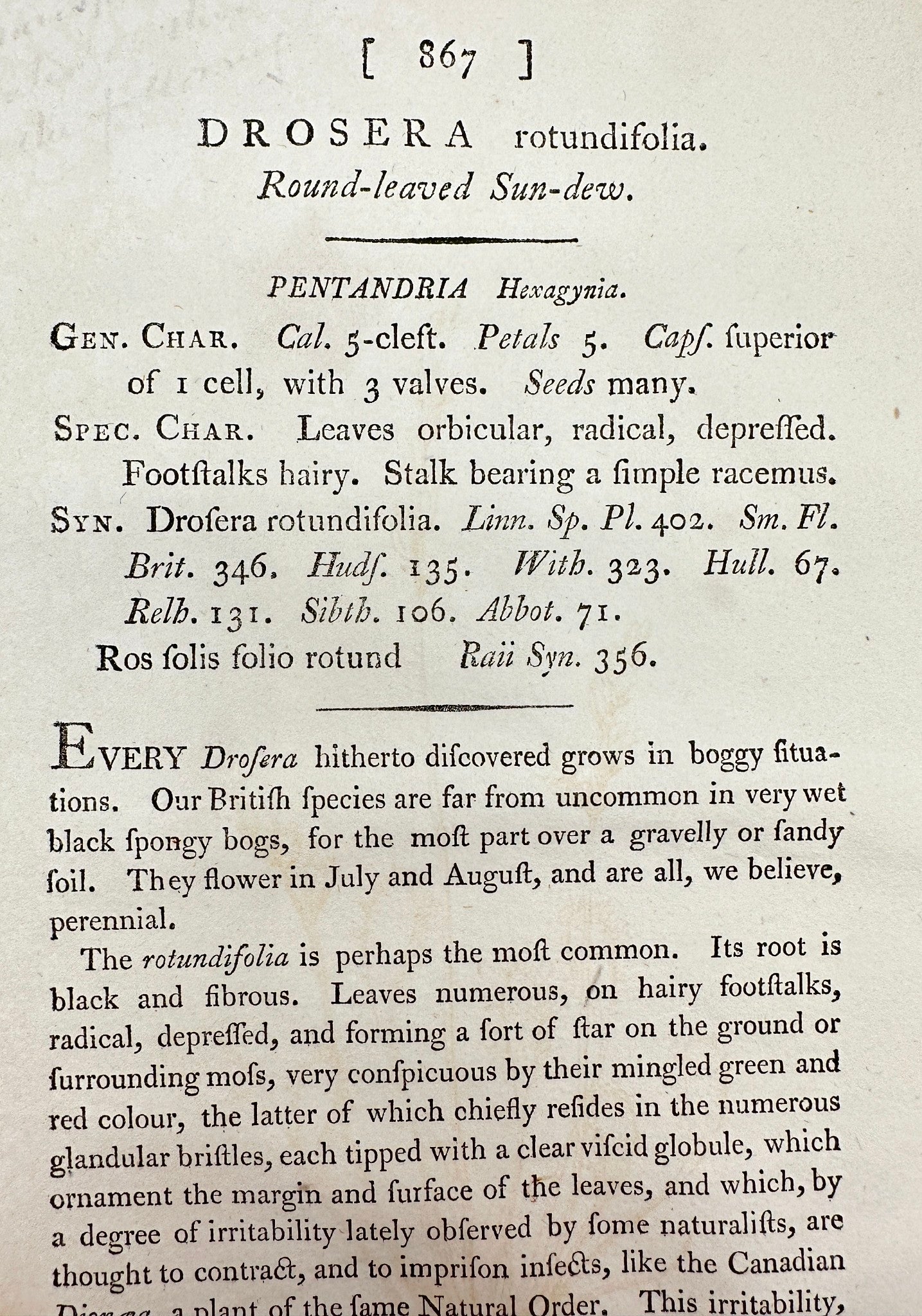 Antique Print - James Sowerby - Drosera Rotundifolia - Round-leaved Sundew - F1