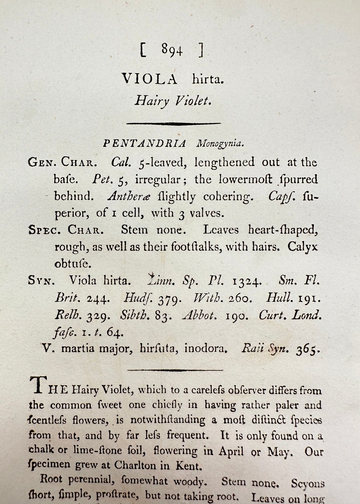 Antique Botanical Print - James Sowerby - Viola Hirta - Hairy Violet - F1