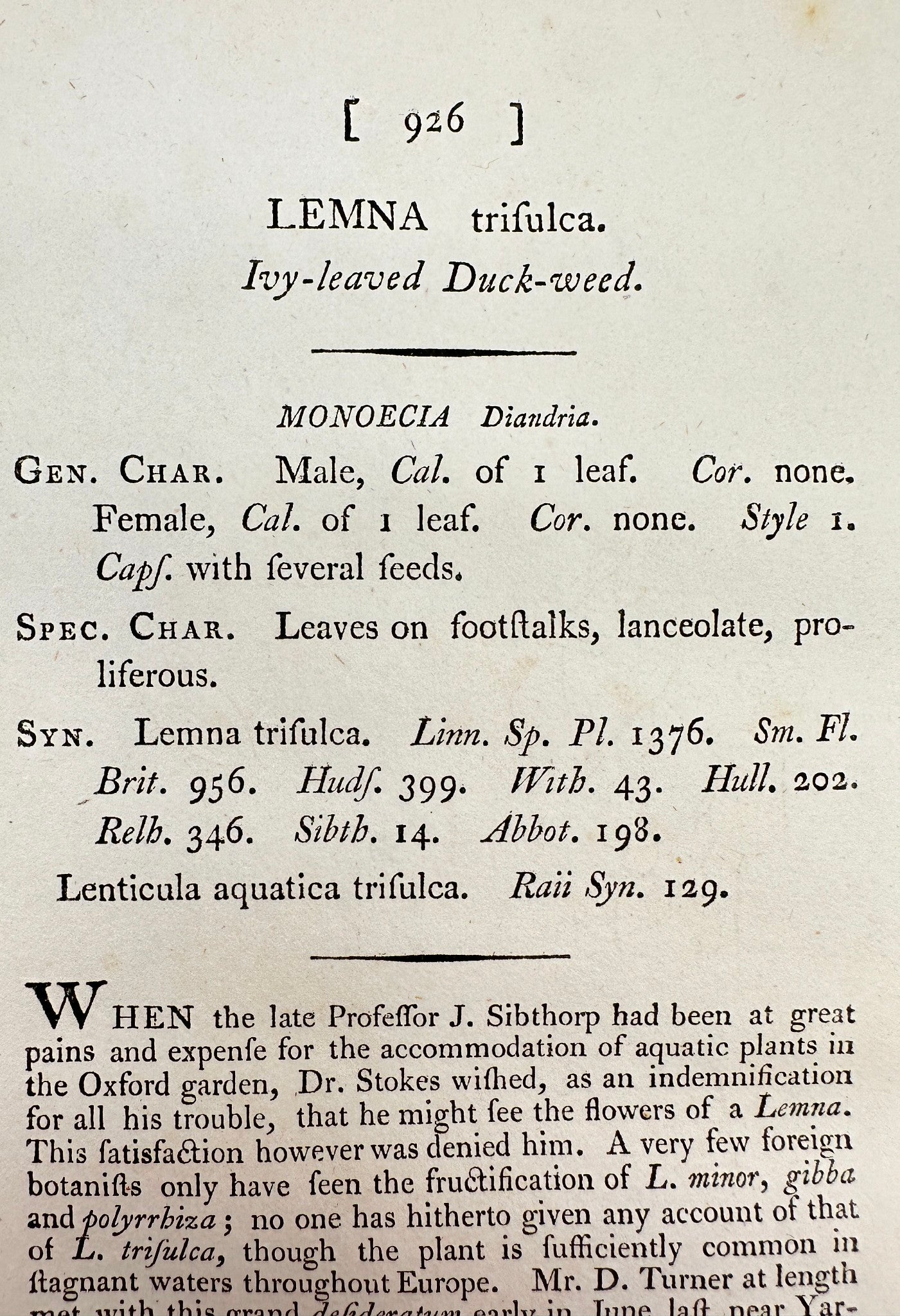 Antique Print - James Sowerby - Lemna Trifulca - Ivy-leaved Duck-weed - F1