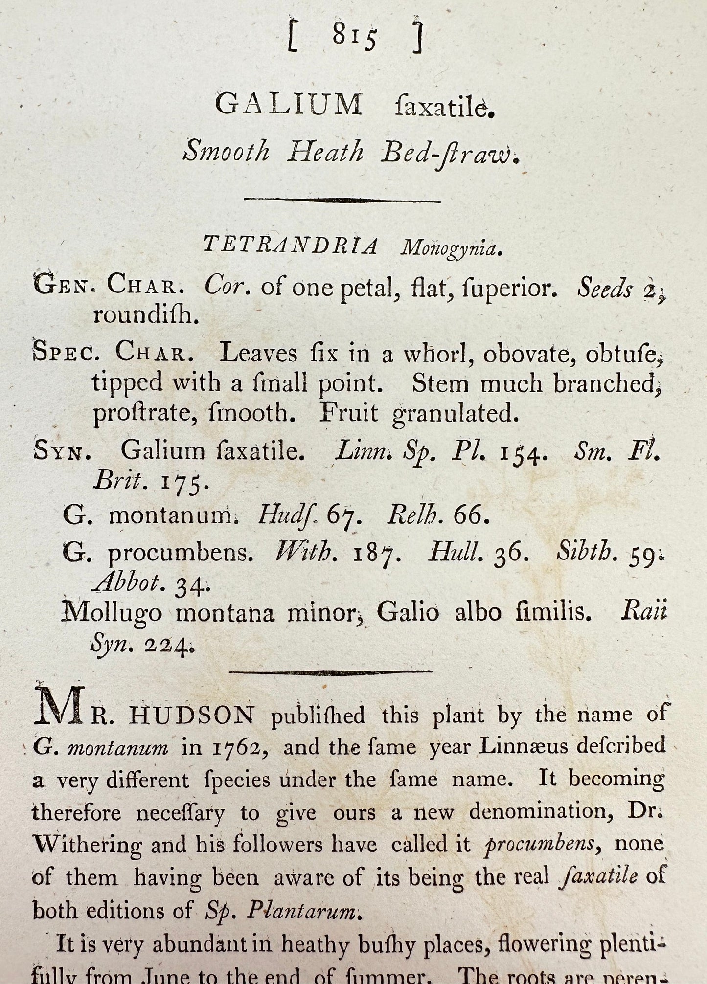 Antique Botanical Print - James Sowerby - Galium Saxatile - Heath Bedstraw - F1