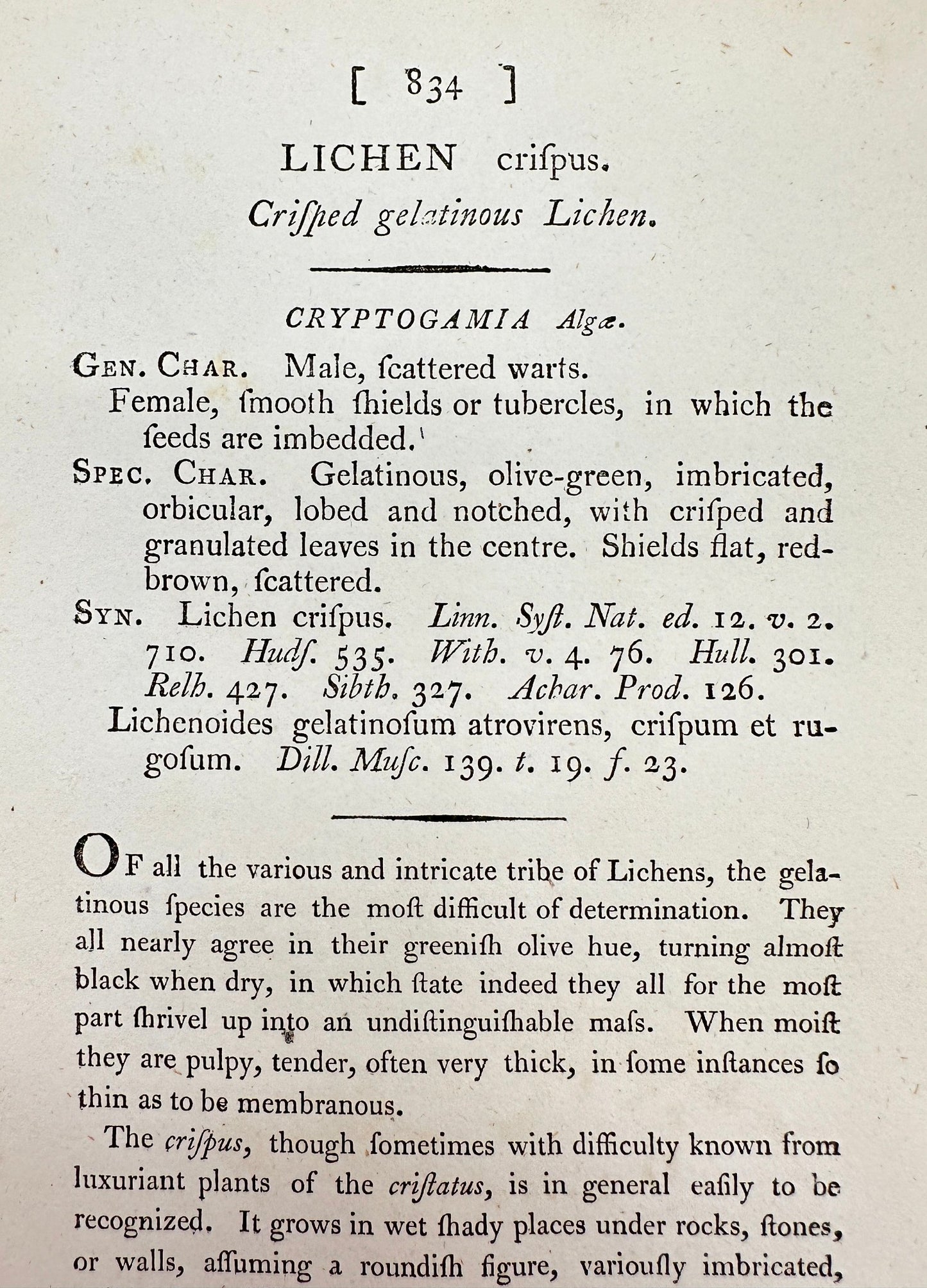 Antique Print - James Sowerby - Lichen Crispus - Criſped gelatinous Lichen - F1