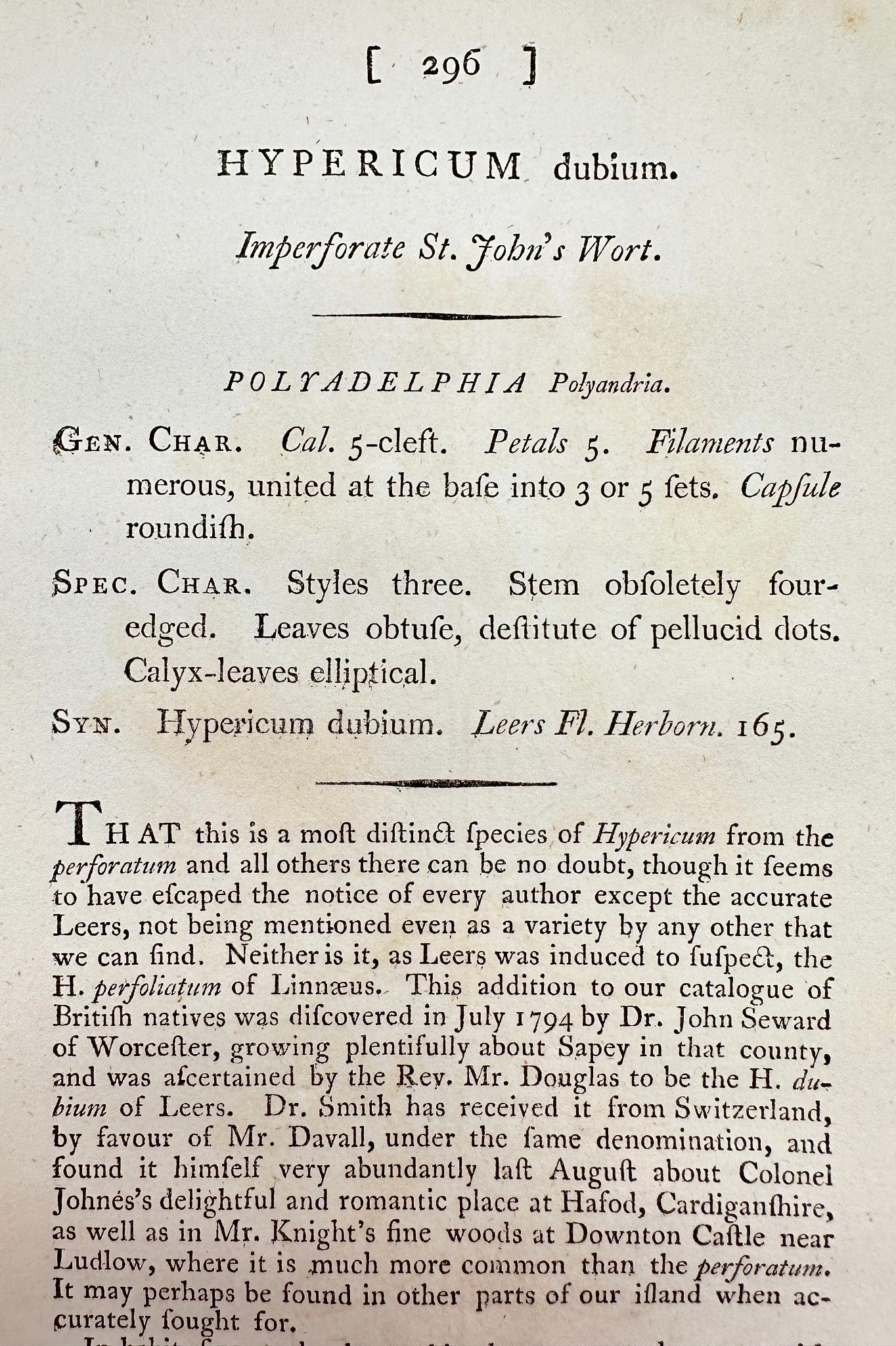 Antique Print - Sowerby - Hypericum Dubium - Imperforate St. John's Wort - F1