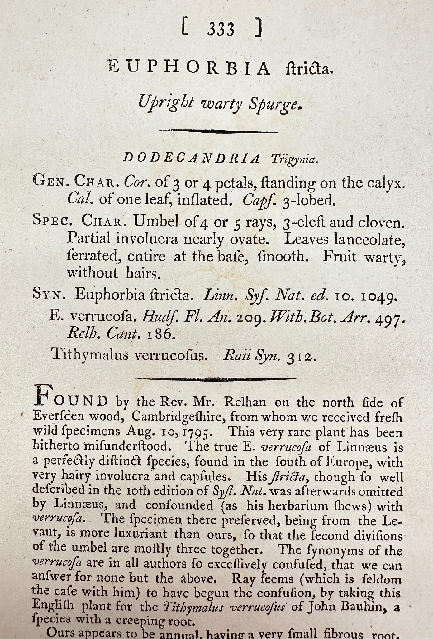 Antique Print - James Sowerby - Euphorbia Stricta - Upright warty Spurge - F1