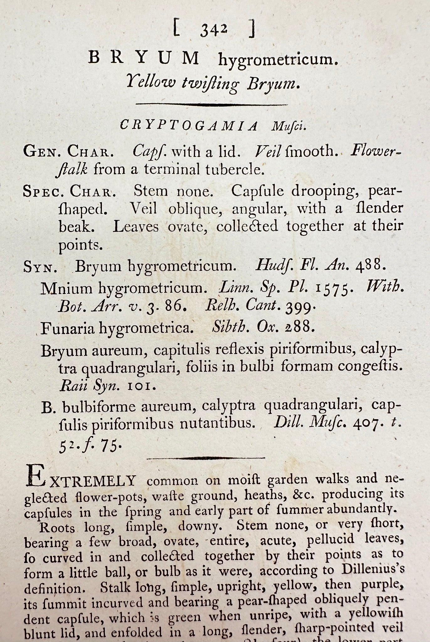 Antique Print - James Sowerby - Bryum Hygrometricum - Yellow Twisting Bryum - F1