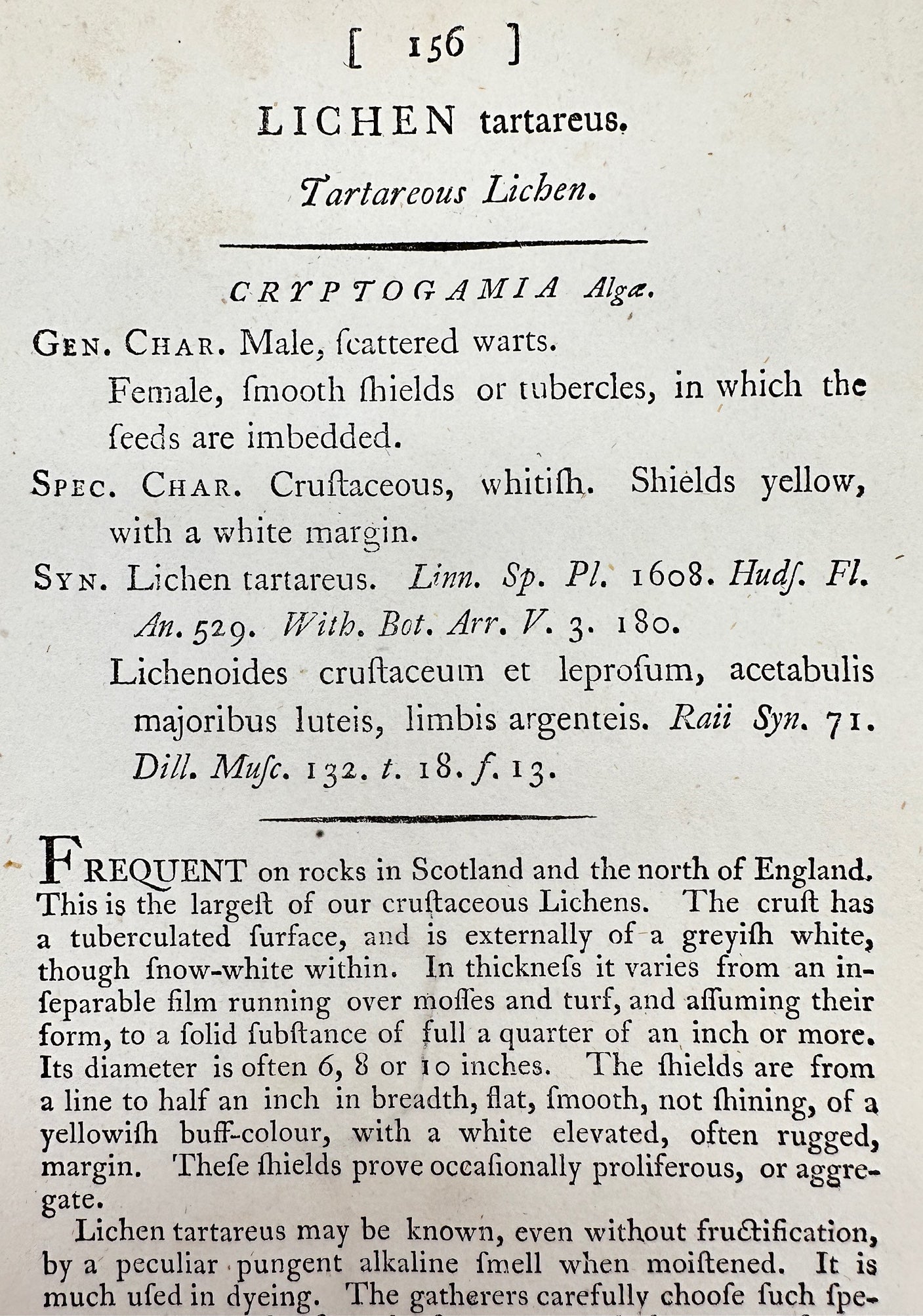 Antique Print - James Sowerby - Lichen Tartareus - Tartareous Lichen - F1