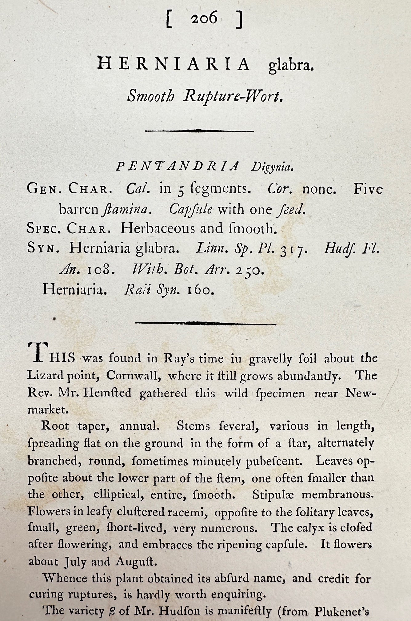 Antique Print - James Sowerby - Herniaria Glabra - Smooth Rupture-Wort - F1