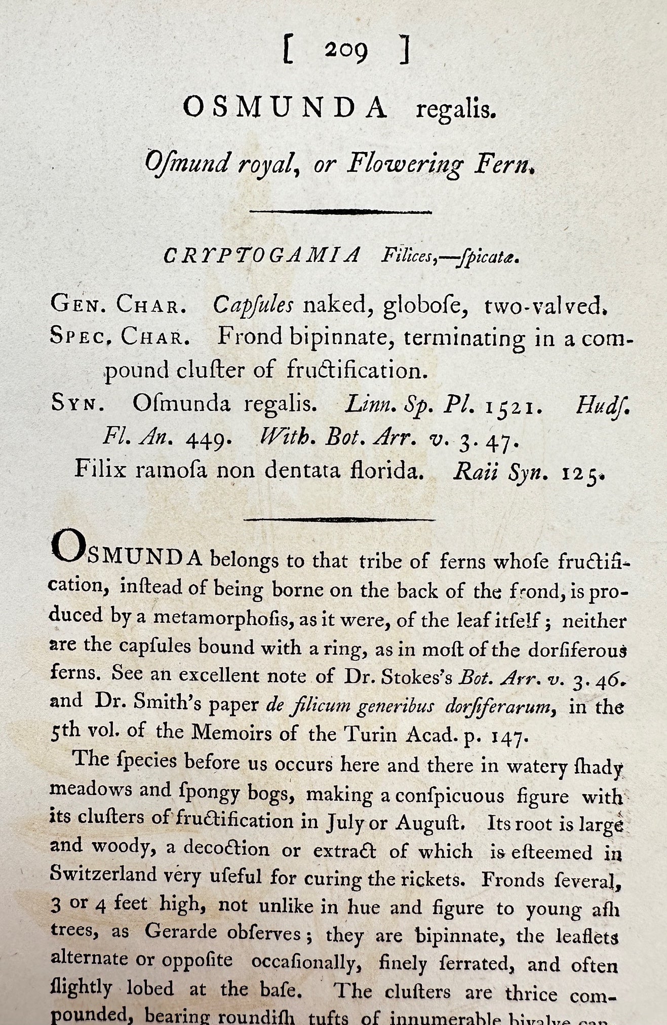 Antique Botanical Print - James Sowerby - Osmunda Regalis - Ofmund Royal - F1