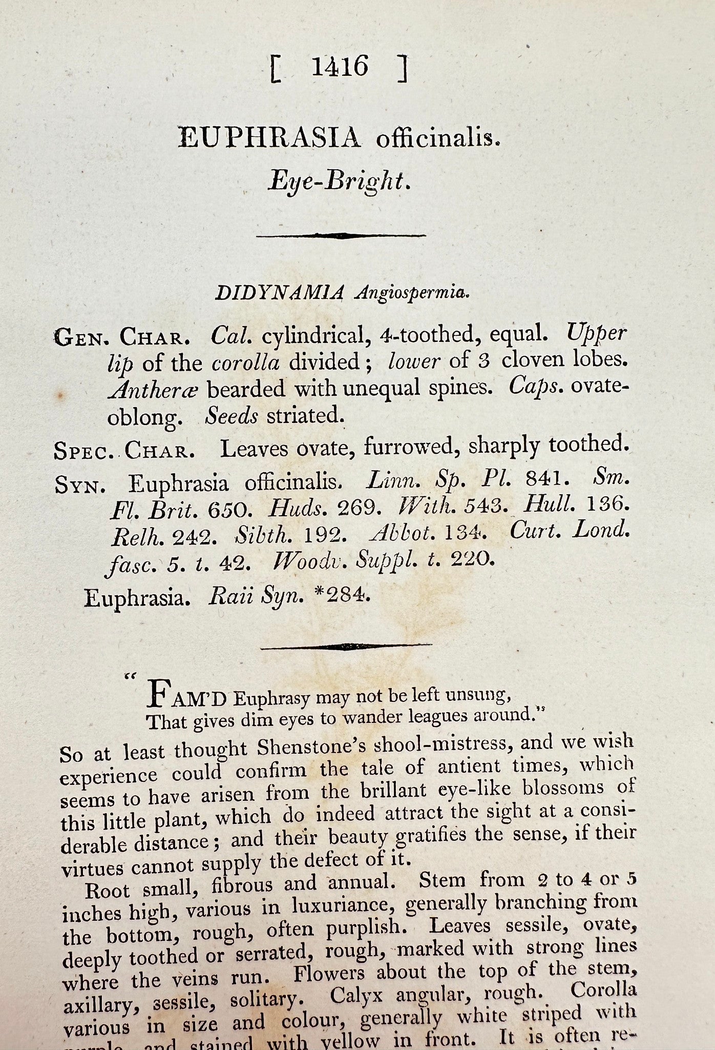 Antique Print - James Sowerby - Euphrasia Officinalis - Eye-Bright - F1