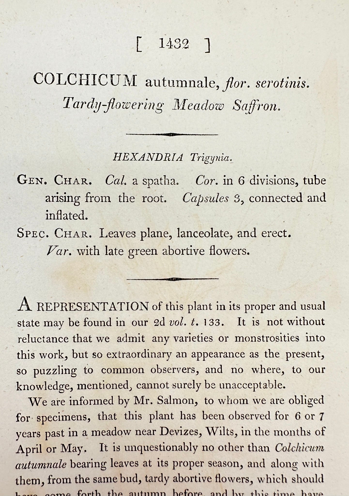 Antique Print - Colchicum Autumnal - Tardy-flowering Meadow Saffron - F1