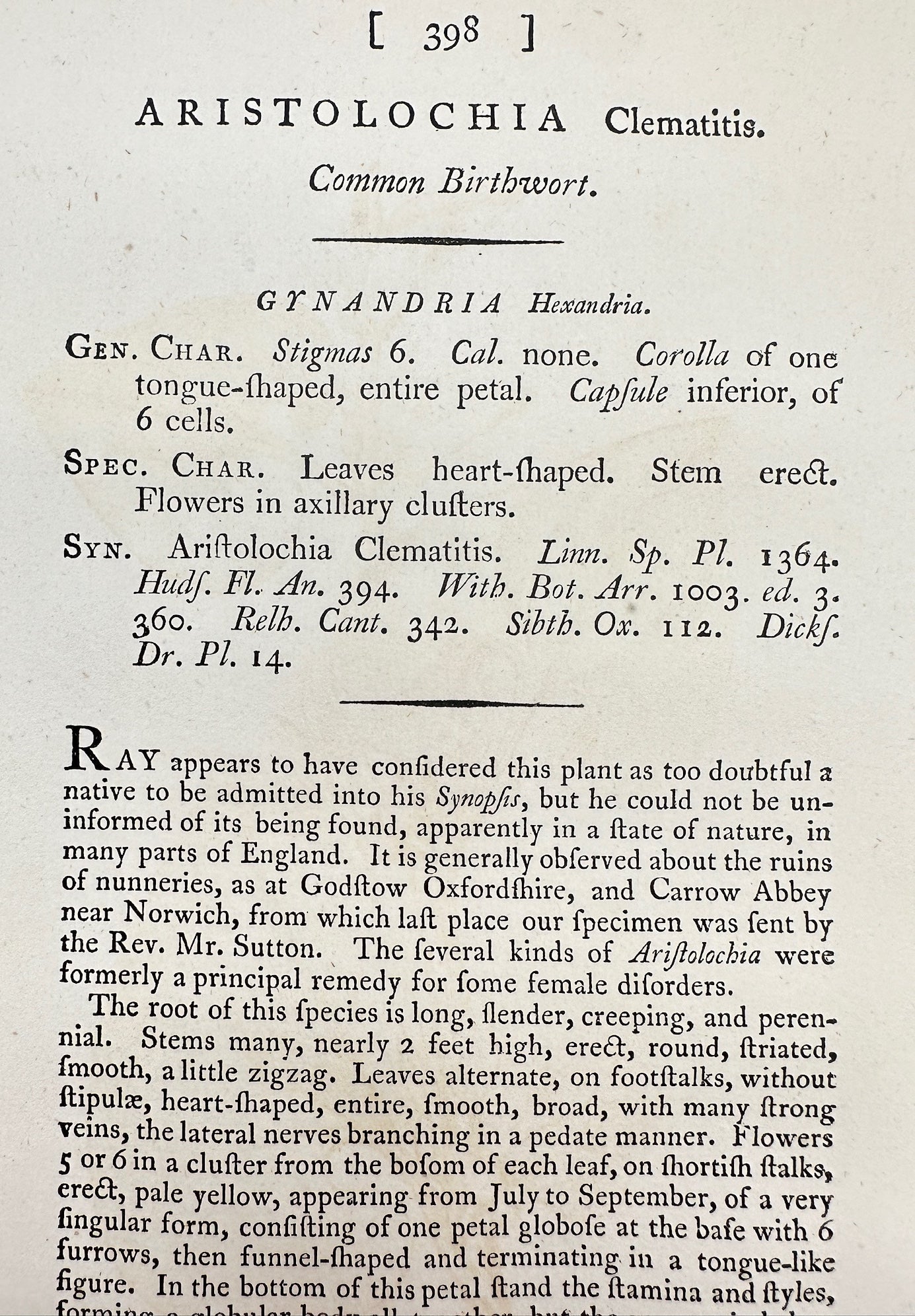 Antique Print - James Sowerby - Aristolochia Clematitis - Common Birthwort - F1