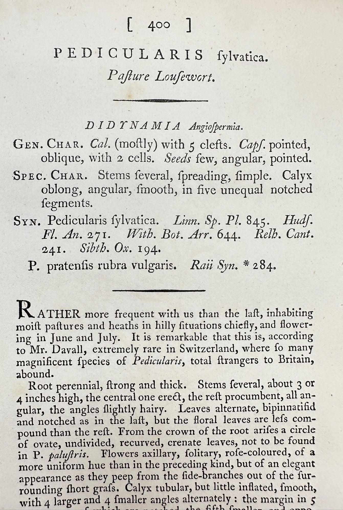 Antique Print - James Sowerby - Pedicularis Fylvatica - Pasture Lousewort - F1