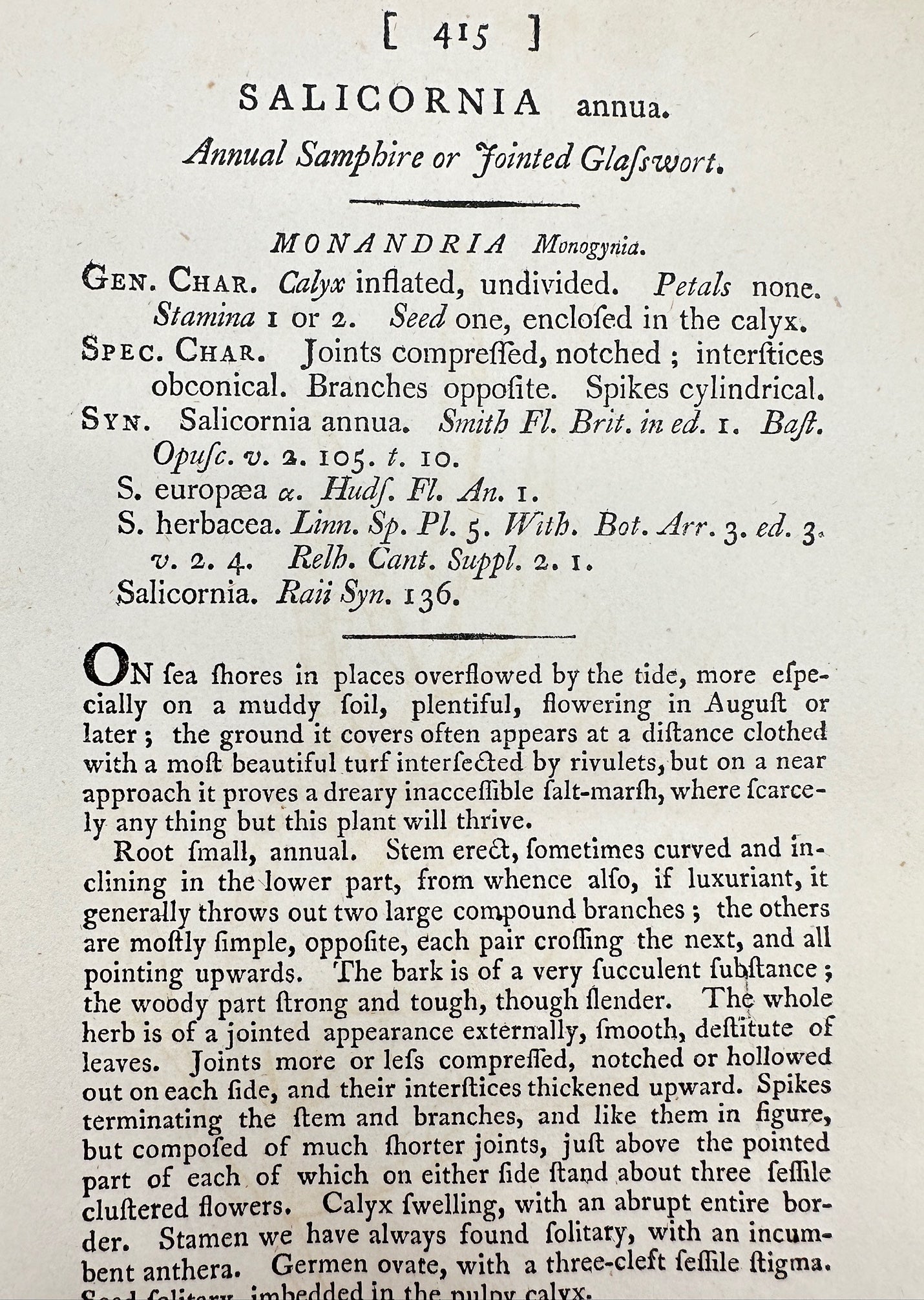 Antique Print - James Sowerby - Salicornia Annua - Annual Samphire - F1