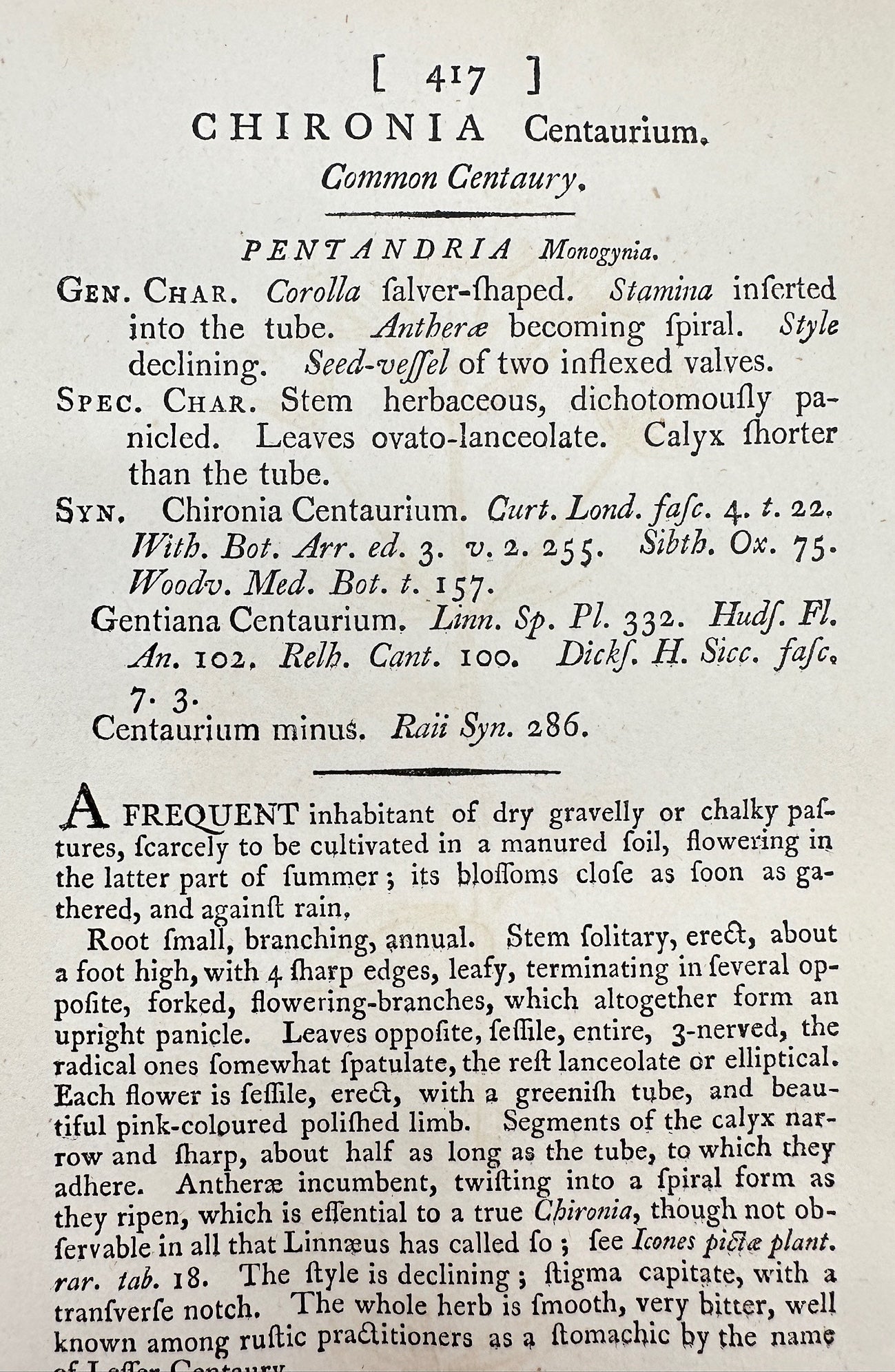 Antique Print - James Sowerby - Chironia Centaurium - Common Centaury - F1