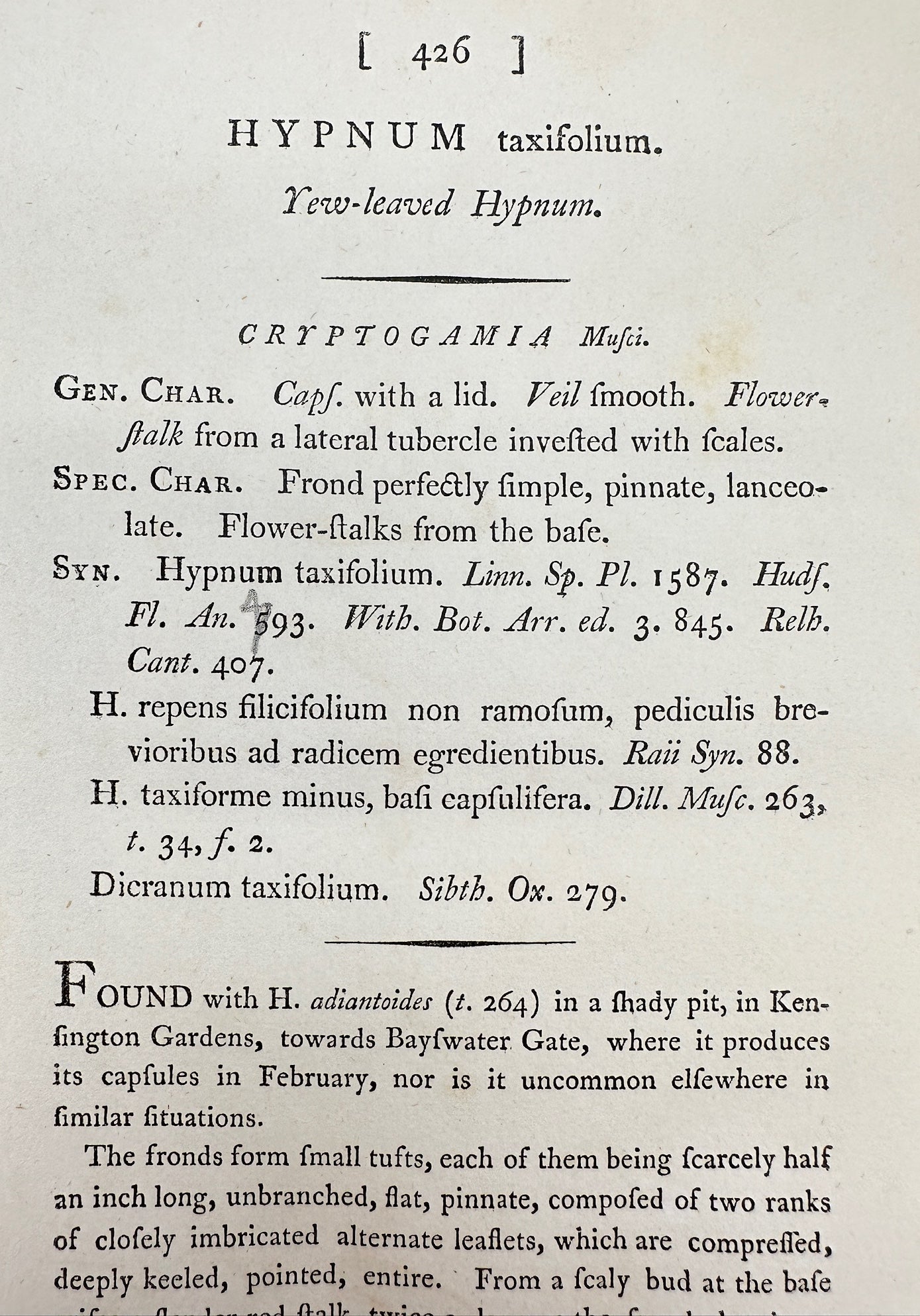 Antique Print - James Sowerby - Hypnum Taxifolium - Yew-leaved Hypnum - F1