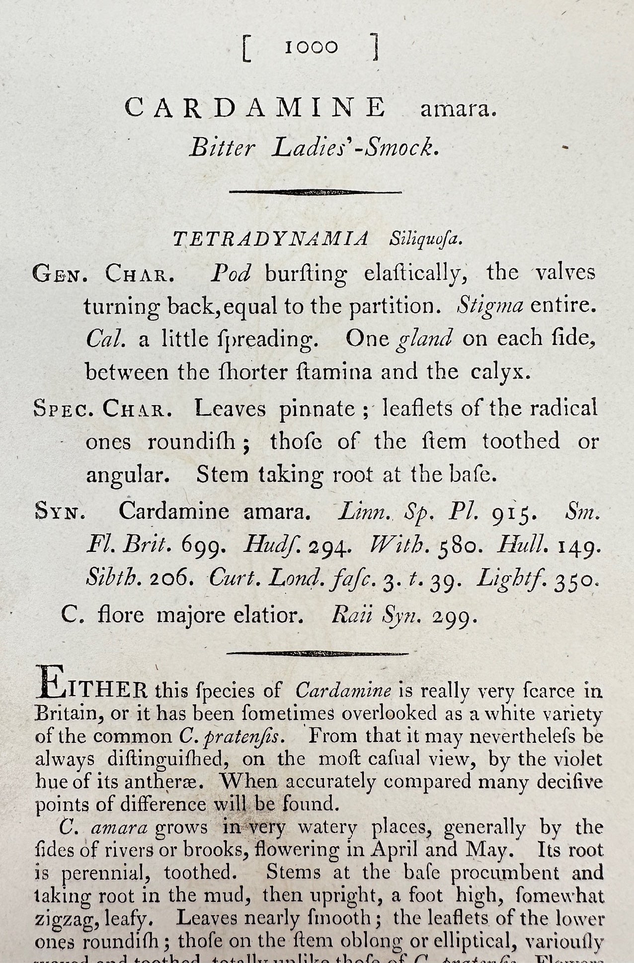 Antique Print - James Sowerby - Cardamine Amara - Bitter Ladies'-Smock - F1