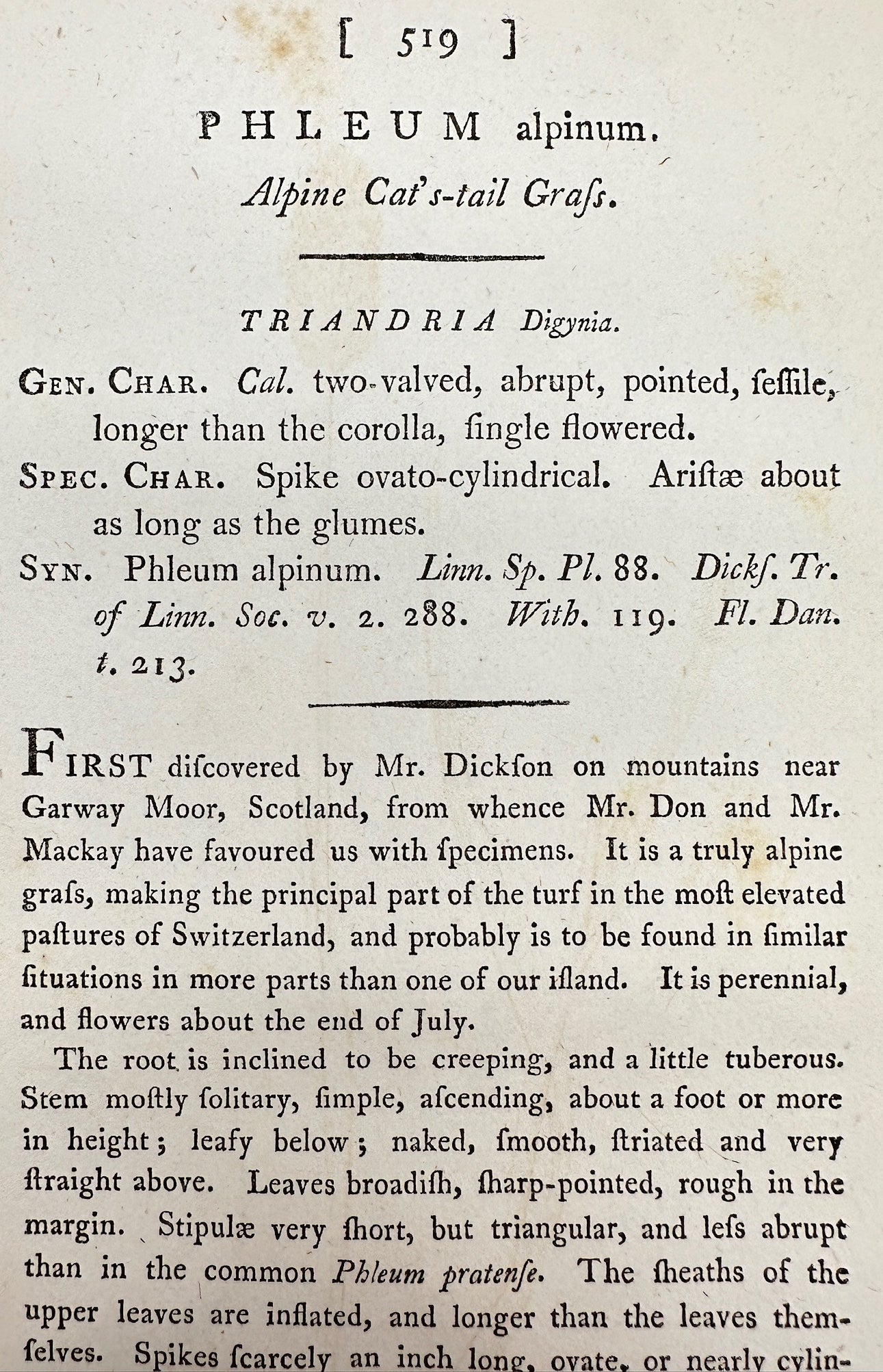 Antique Print - James Sowerby - Phleum Alpinum - Alpine Cat's-tail Grafs - F1