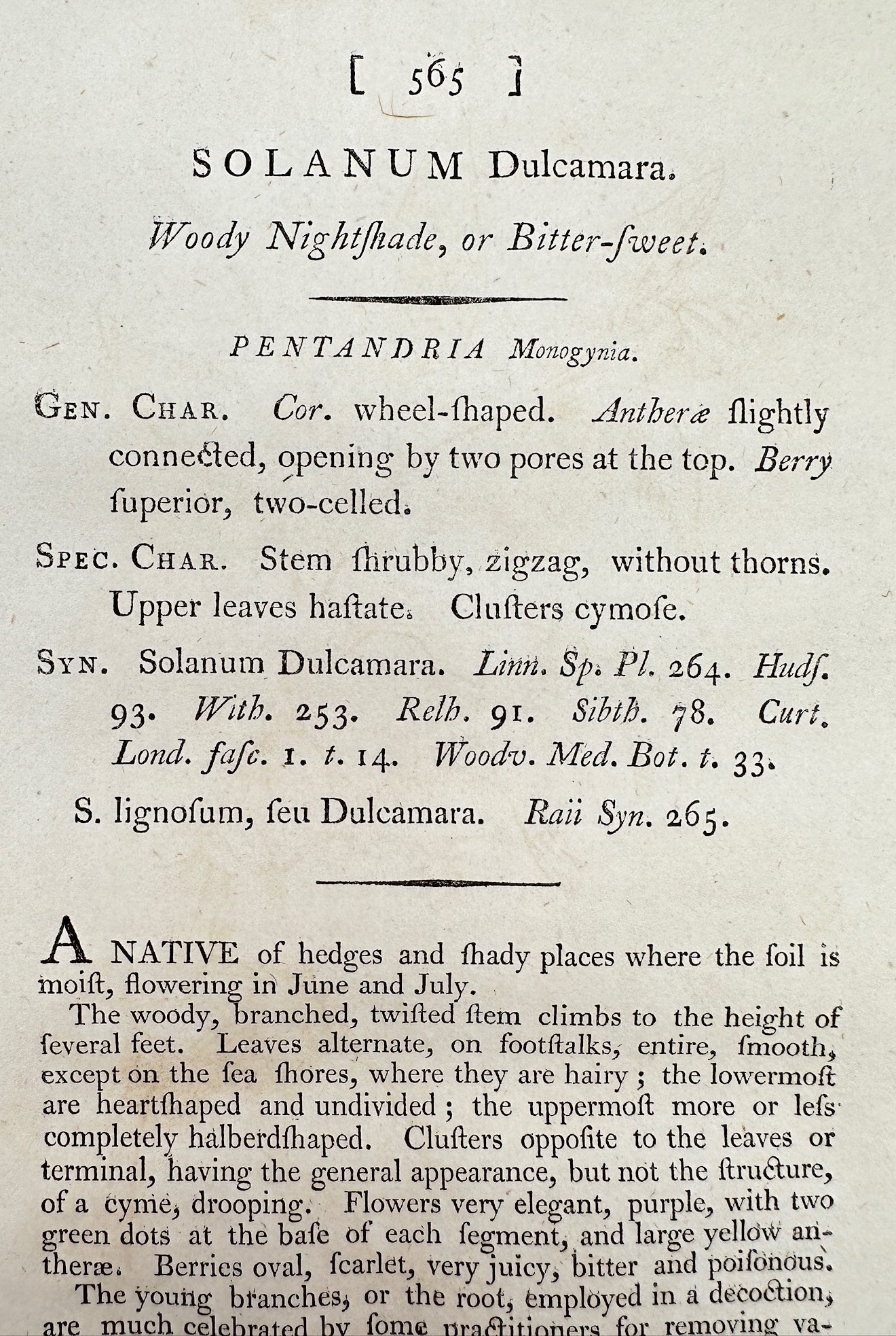 Antique Print - James Sowerby - Solanum Dulcamara - Woody Nightshade - F1