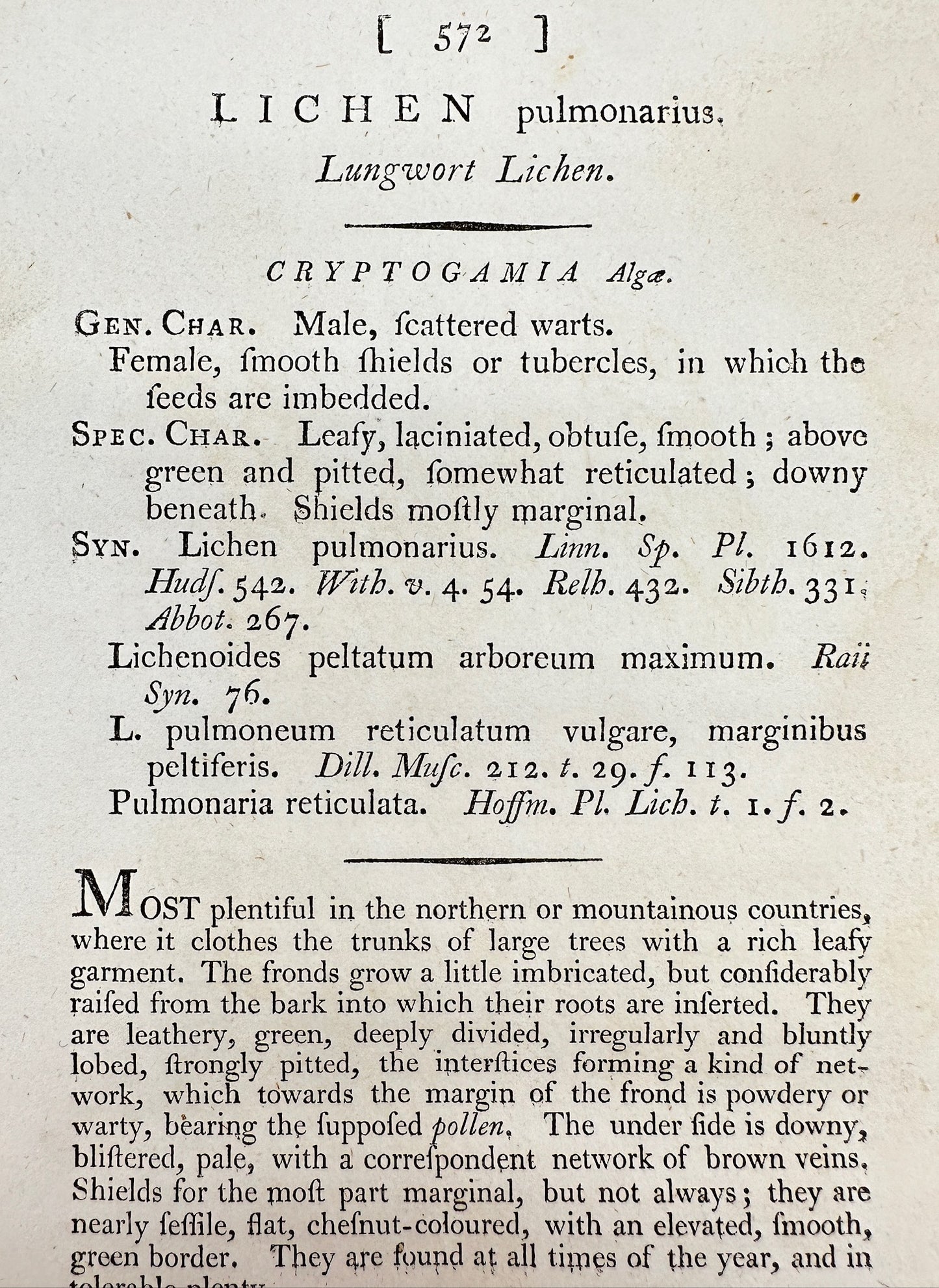 Antique Print - James Sowerby - Lichen Pulmonarius - Lungwort Lichen - F1