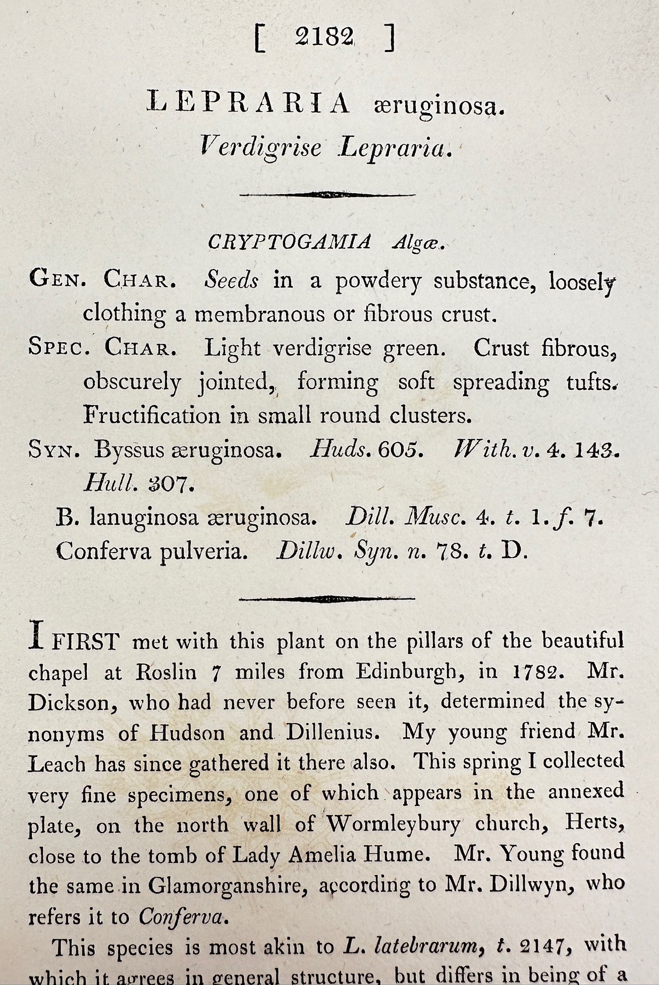 Antique Print - James Sowerby - Lepraria æruginosa - Verdigrise Lepraria - F1