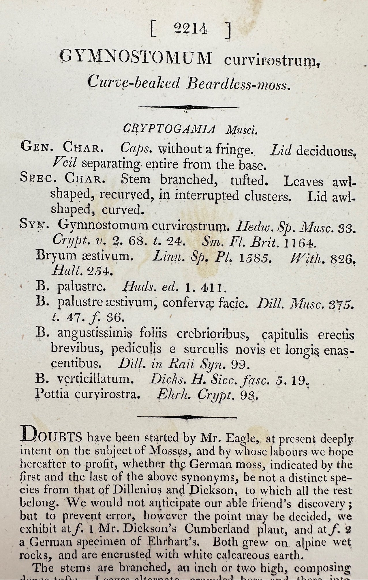 Antique Print - Gymnostomum Curvirostrum - Curve-beaked Beardless-moss - F1