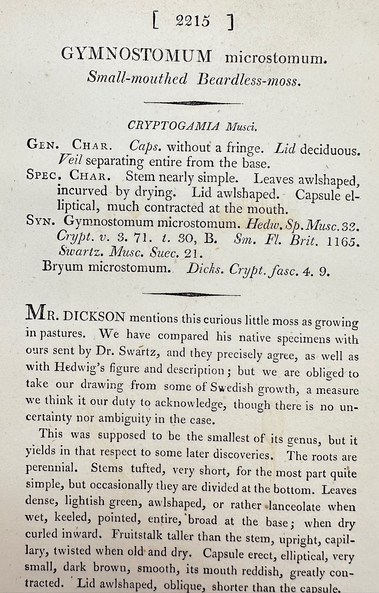 Antique Print - Gymnostomum Microstomum - Small-mouthed Beardless-moss - F1