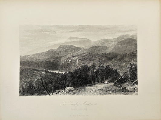 Antique Engraving - Cullen Bryant - View of Smoky Mountains - New Jersey - F5