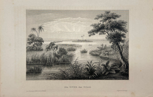 Antique Engraving - Karl Reiss -  The banks of the Tsad - C2