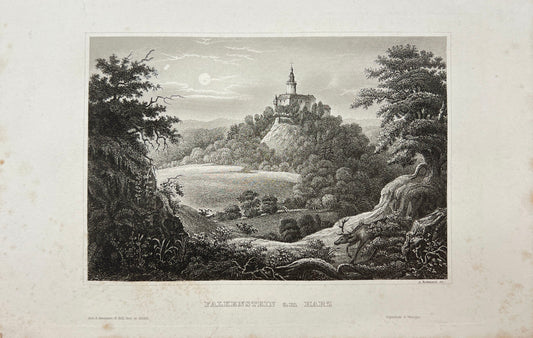 Antique Engraving - Karl Reiss - Falkenstein on the Harz - Germany - E5