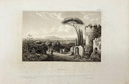 Original Antique Engraving - Karl Reiss - View of Nizza - France - E5