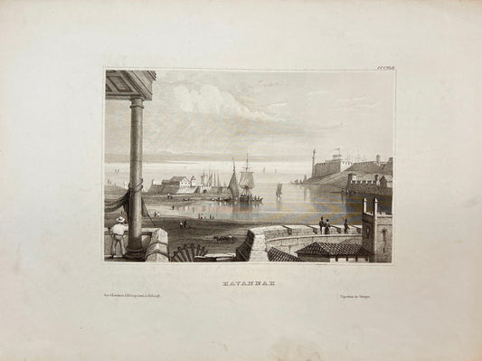 Original Antique Engraving - Karl Reiss - View of Havana - Cuba - E5