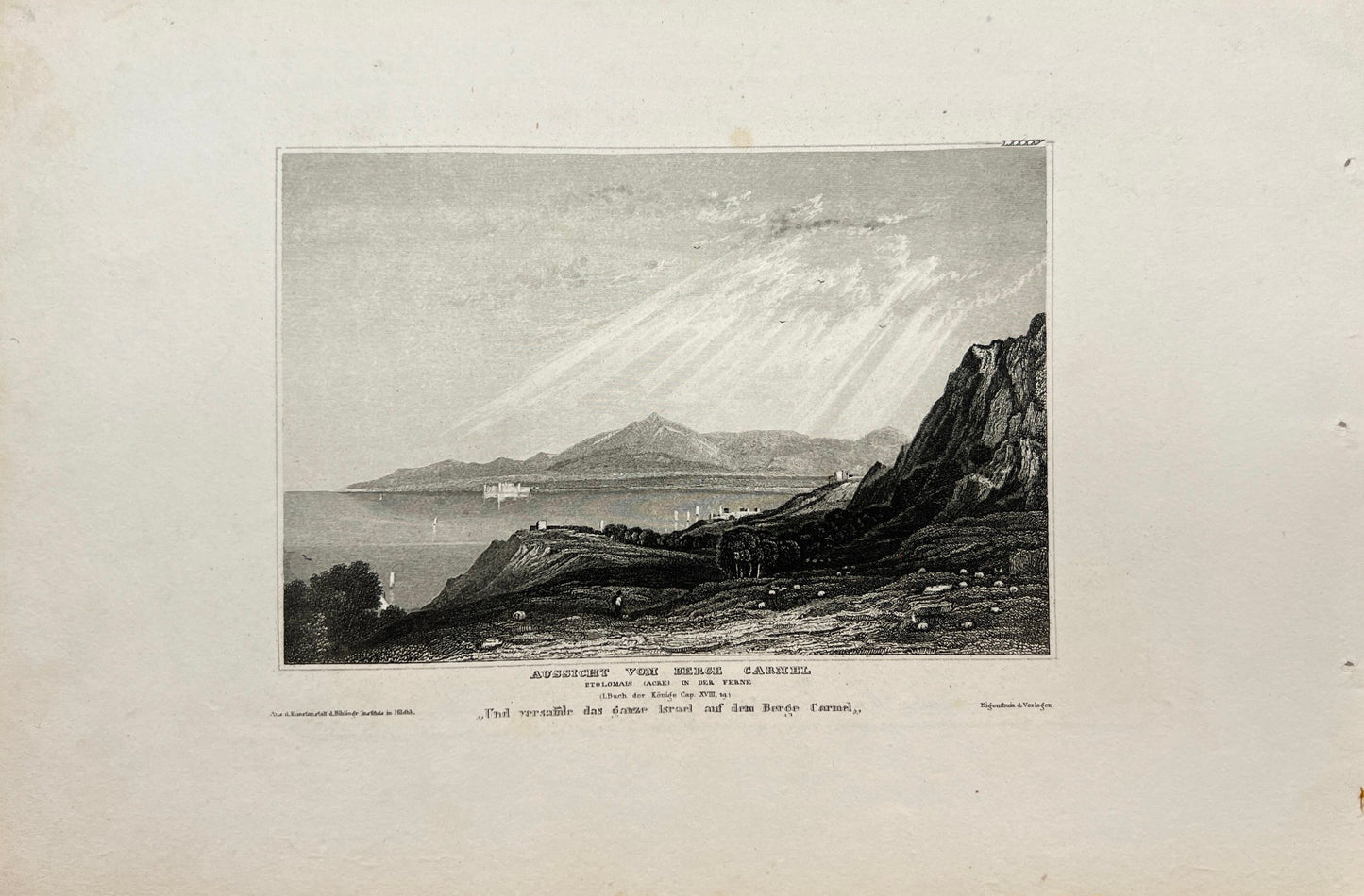Antique Engraving - Karl Reiss - View from Mount Carmel - Israel - E5