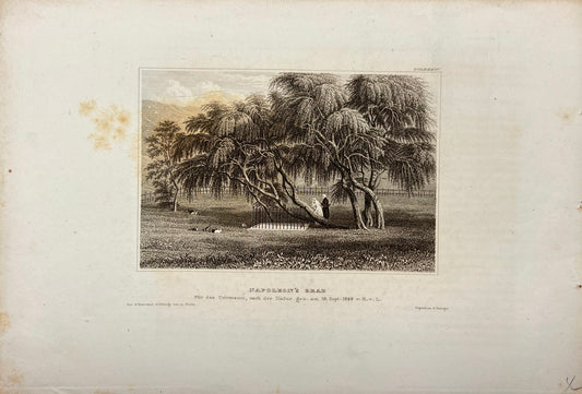 Original Antique Engraving - Carl Joseph Meyer - Napoleon's Tomb - E5