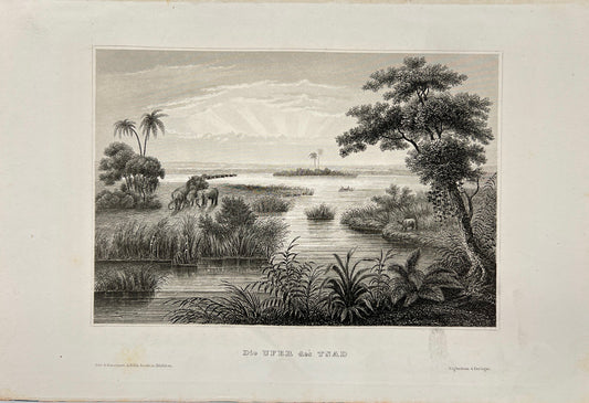 Original Antique Engraving - Carl Joseph Meyer - View of Part of the Lake - E5