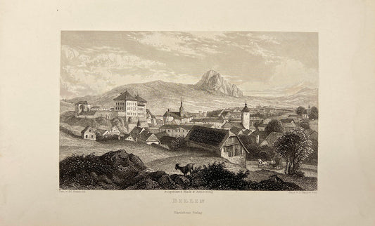 Original Antique Engraving - Shury & Son - Billin - Czech Republic - E5