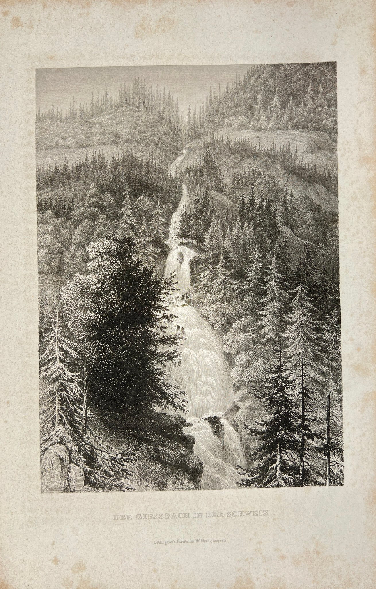 Antique Print - Adrian Ludwig Richter - The Giessbach in Switzerland - E5