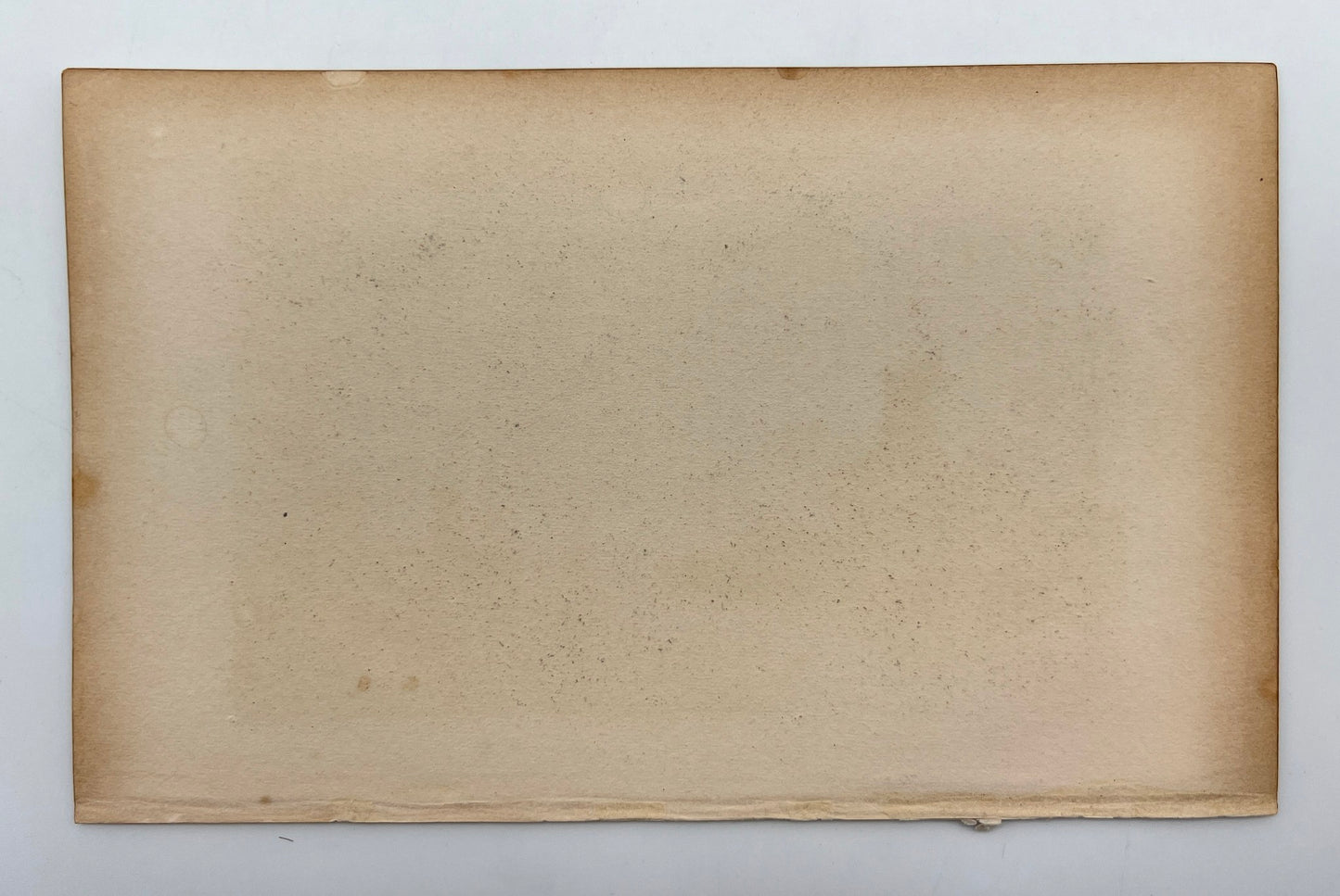 Original Antique Engraving - Carl Joseph Meyer - On the Scheld - E5