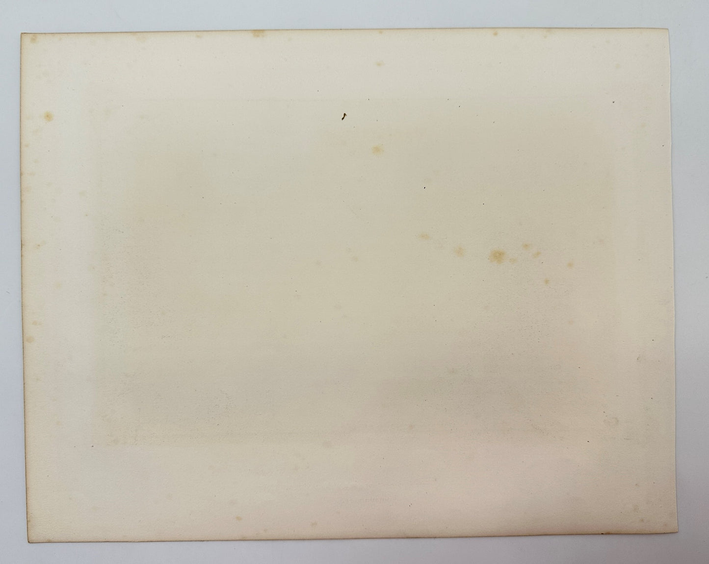 Antique Landscape Print - Adolph Tidemand - View of Ullensvang - Norway - F4