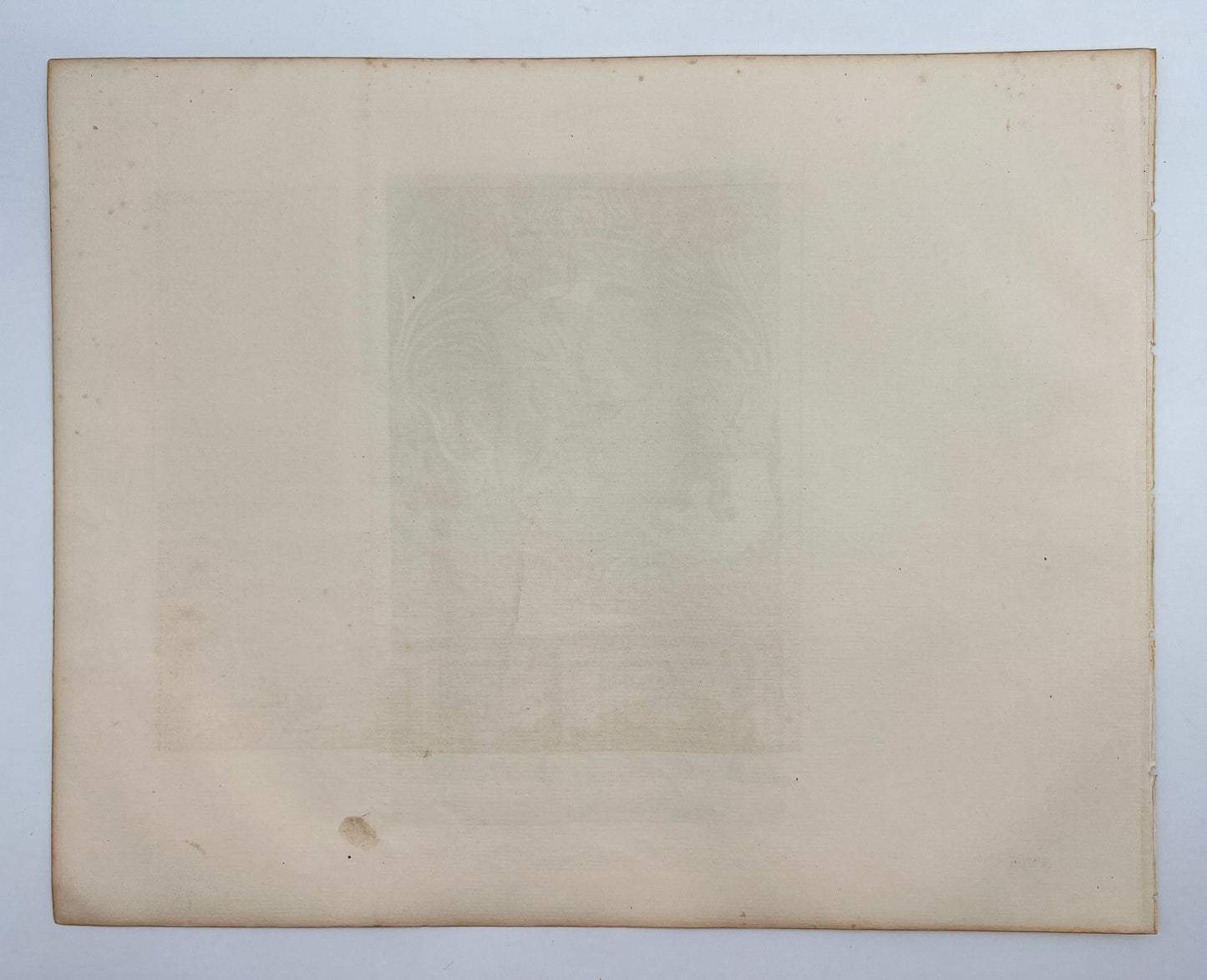 Original Antique Print - Erik Dahlberg - Coat of Arms of Östergötlan - E1