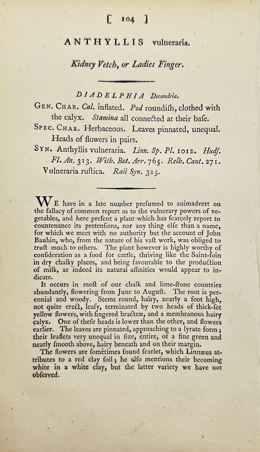 Antique Print - James Sowerby -  Anthyllis Vulneraria - Kidney Vetch - F1