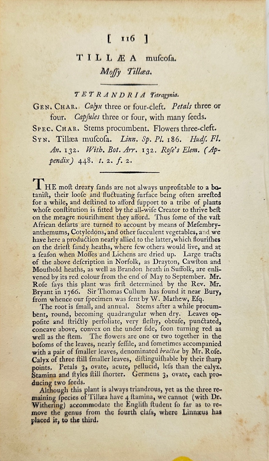 Antique Botanical Print - James Sowerby - Tillaea Muscosa - Remove Capsicum - F1