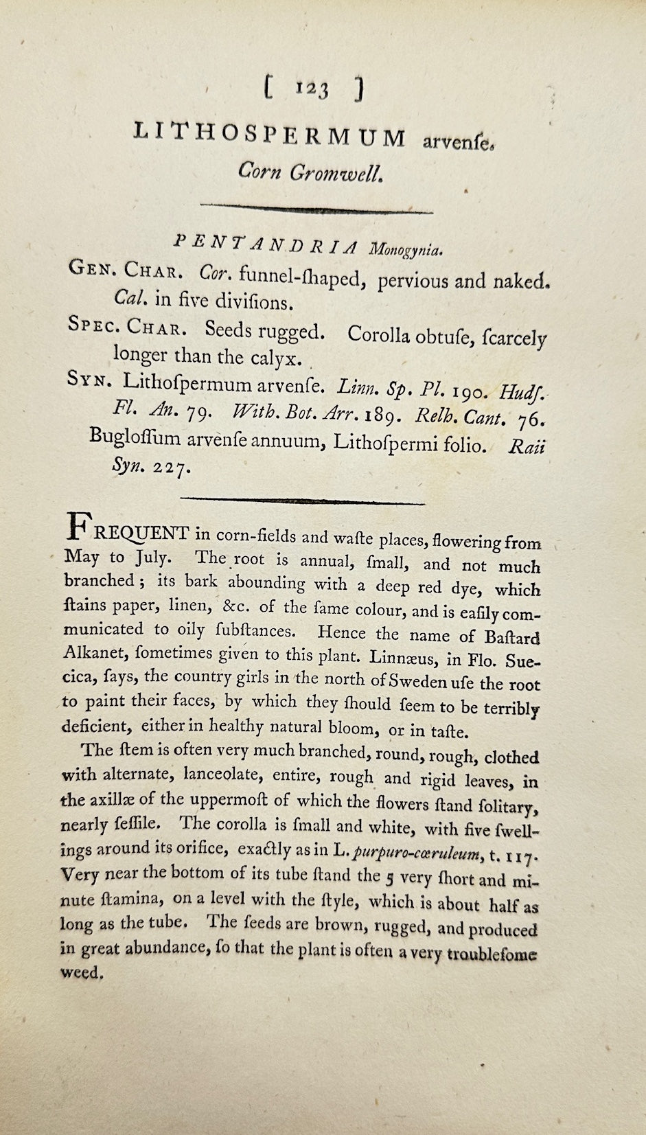 Antique Print - James Sowerby - Lithospermum Arvense - Field Gromwell - F1